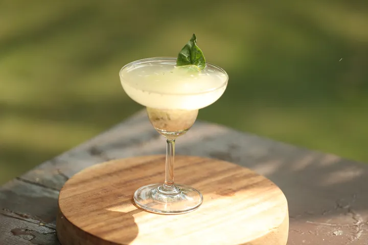 Coconut Cooler