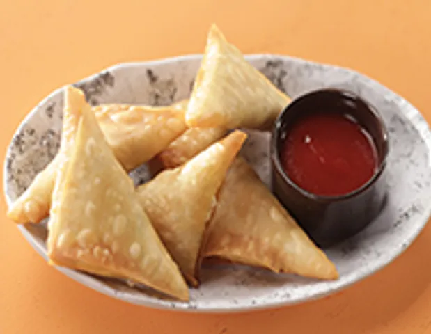 Malai Paneer Samosa - SK Khazana