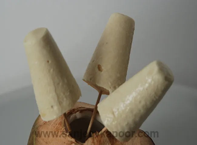 Tender Coconut Kulfi