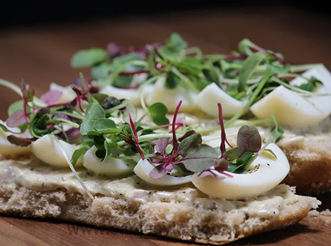Open Egg Sandwich