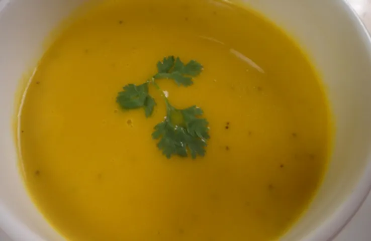 Iced Carrot and Orange Soup