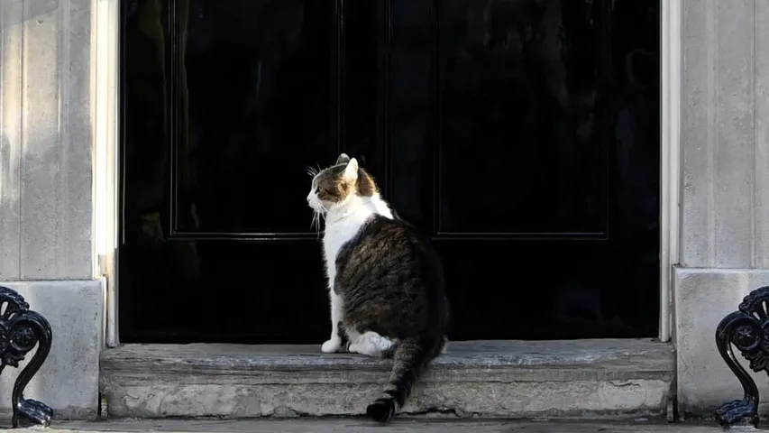 All Changes At Downing Street But Not Larry The Cat