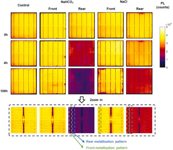 Microscopic analysis reveals salt-induced delamination in Ag/Al paste, accelerating series resistance and structural failure in TOPCon solar cells.