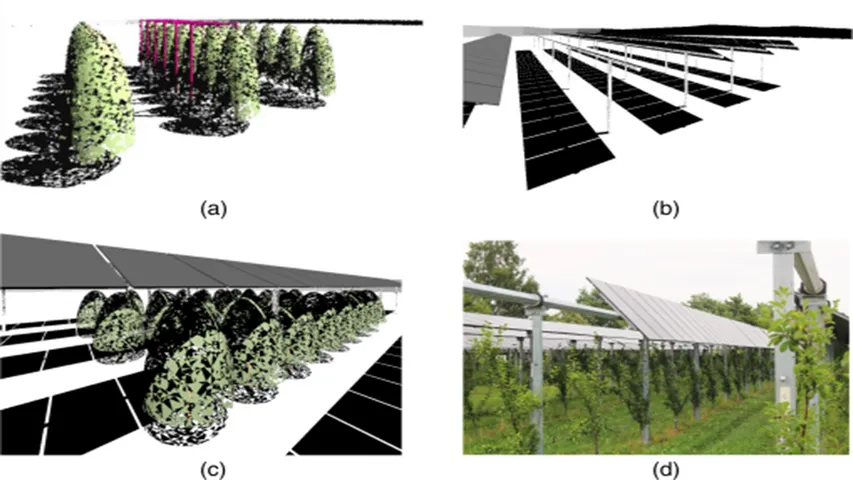 Fraunhofer ISE studied single-axis agrivoltaic systems tracking optimization to balance light distribution between crops and solar panels. 