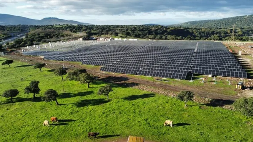 Trina Solar signs 15-year PPA with a Shell subsidiary