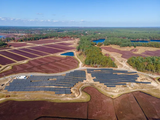 Syncarpha transforms cranberry bog into solar power source