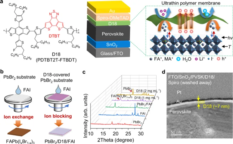 Perovskite solar cell stability enhanced to tackle reduced lifetimes