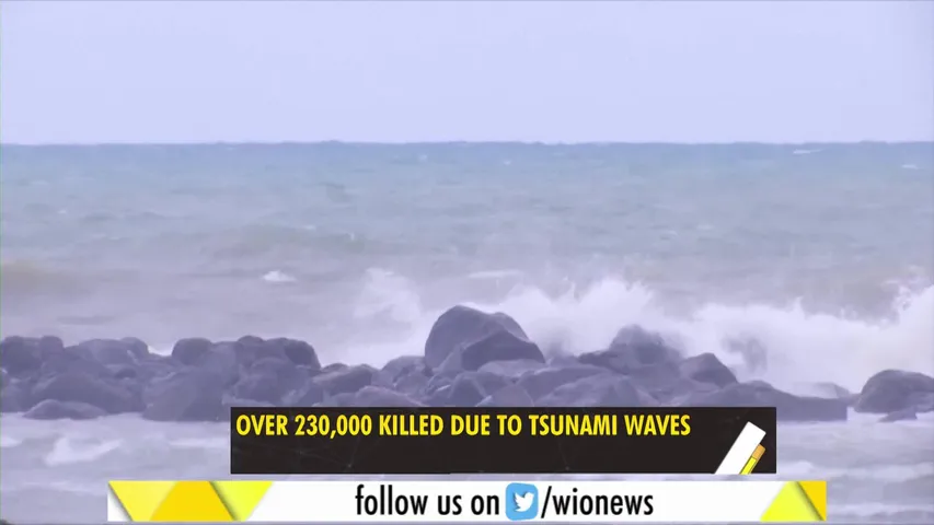 Vietnam news tsunami