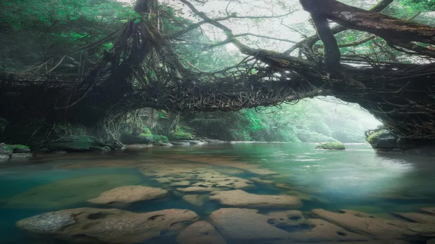 must visit places in Meghalaya