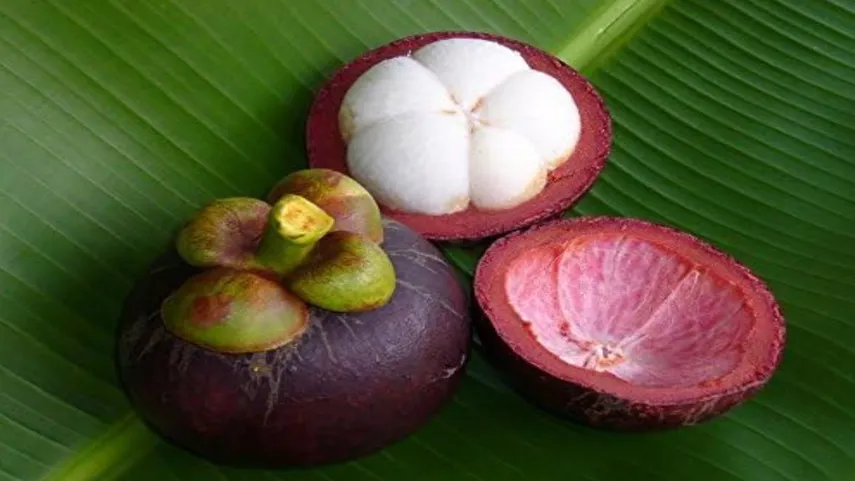 recipes with Indian fruits for summer