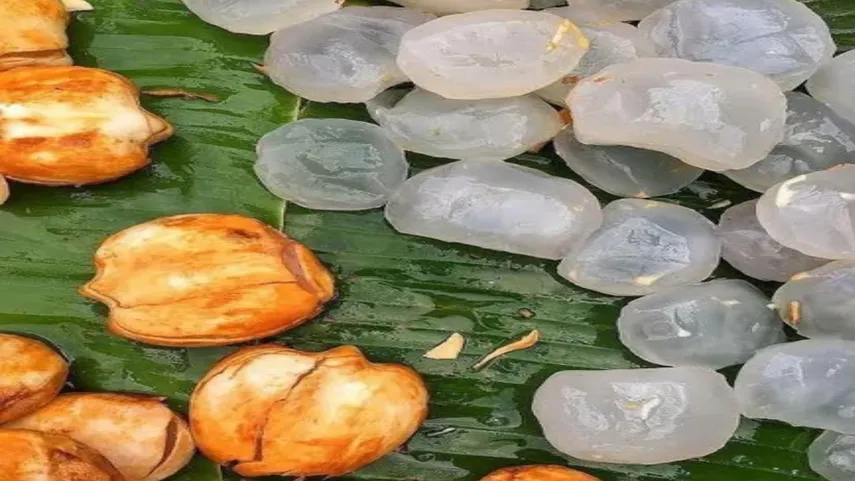 most unique Indian fruit