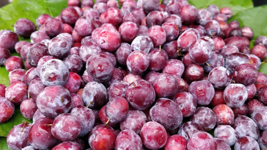 indian foods to boost immunity