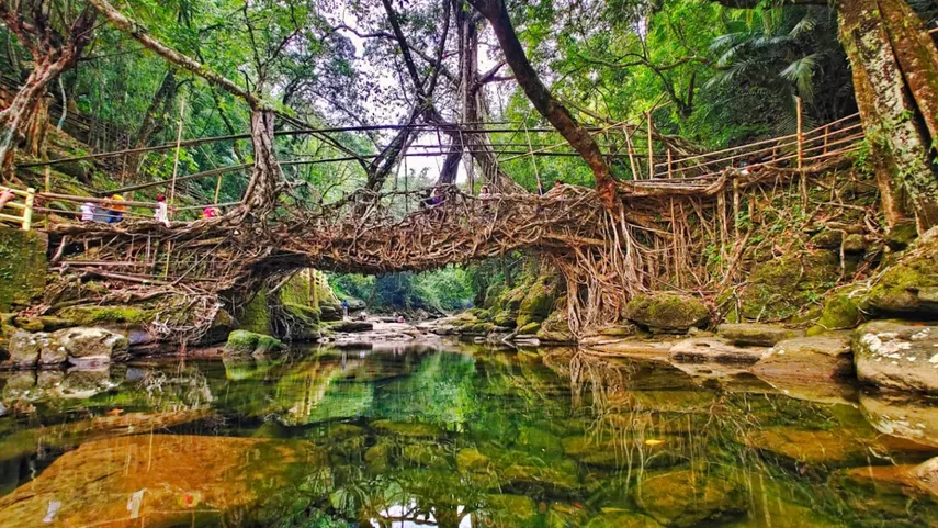 Ritymmen Root Bridge, Nongthymmai Village