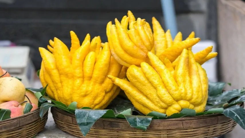 top 20 immune-boosting foods