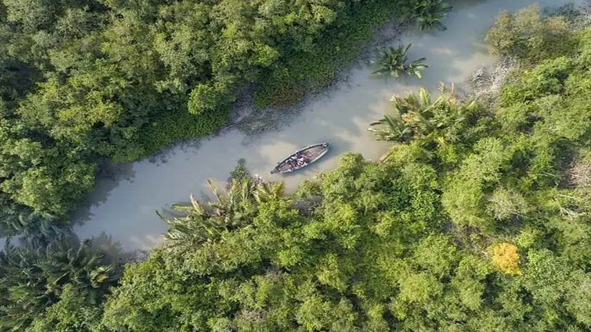 Sundarban tourism Sanctuary wildlife watch by boat