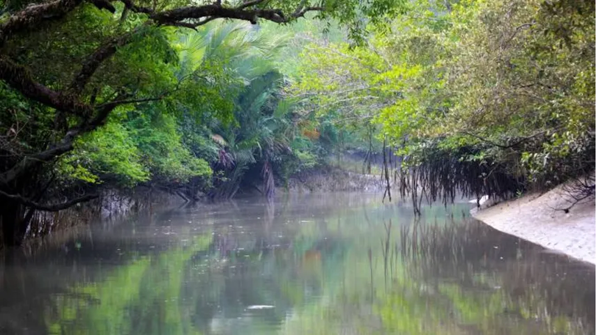 sundarban wildlife sanctuary by boat
