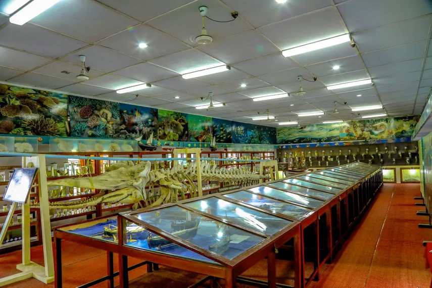 marine museum in lakshadweep