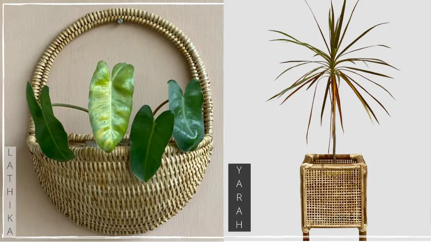 the green collective