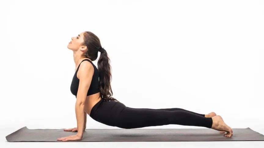 Bhujangasana 