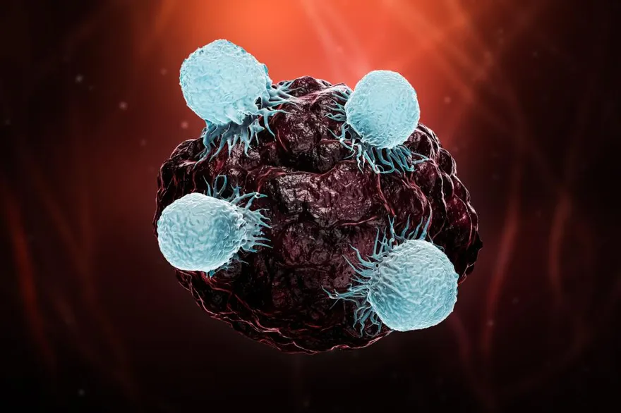 CAR-t Cell therapy