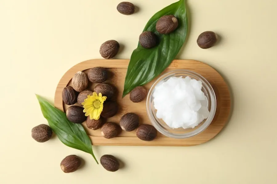 Concept of skin care cosmetics Shea butter top view