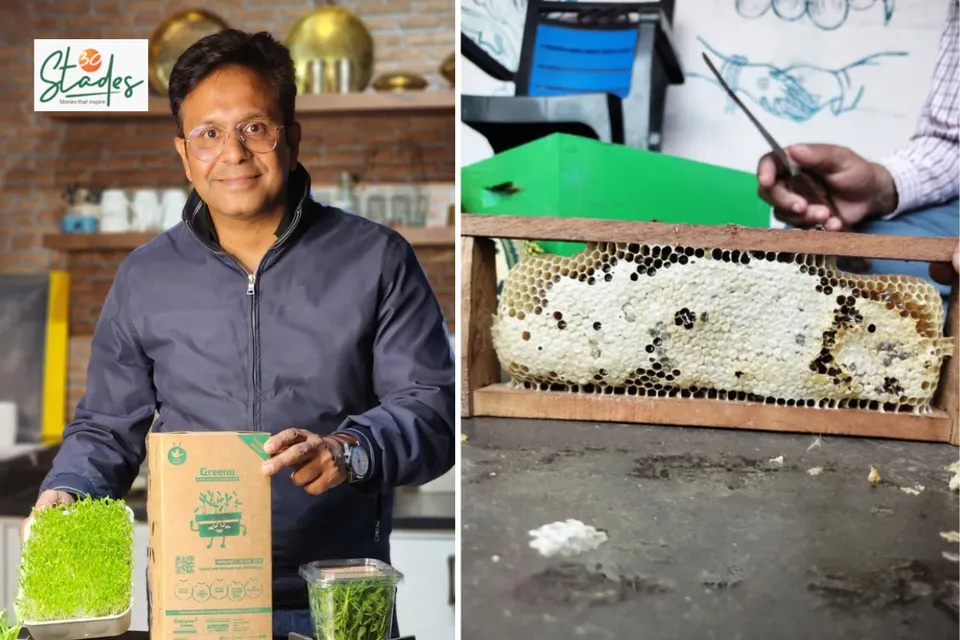 Microgreens Millionaire and Honeybees