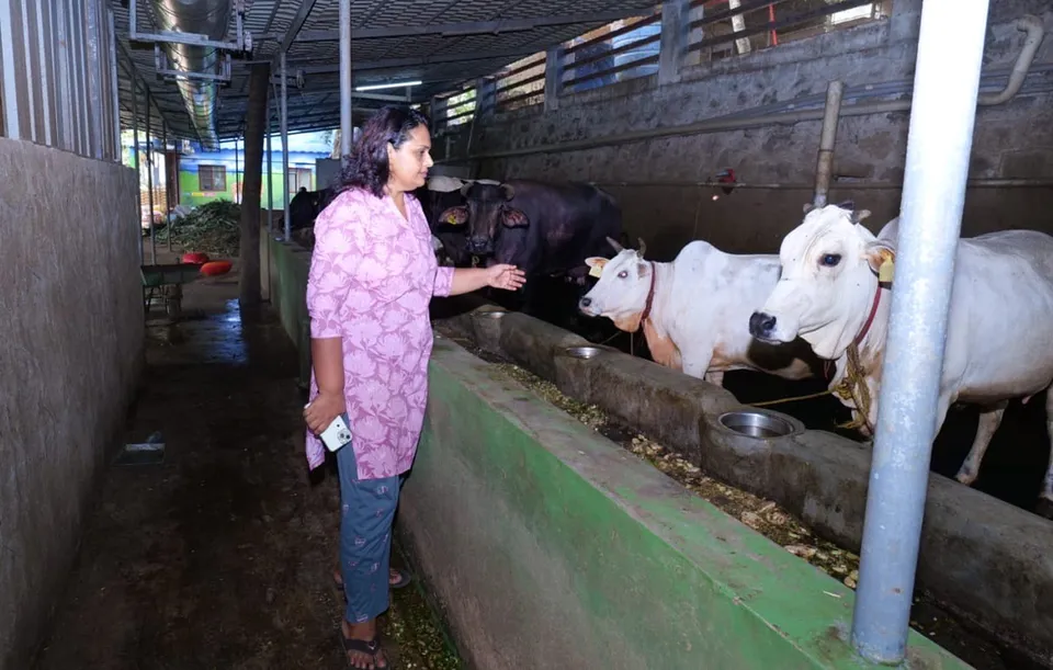 Vidhu Rajeev's farm integrates dairy and poultry farming with the cultivation of veggies and spices