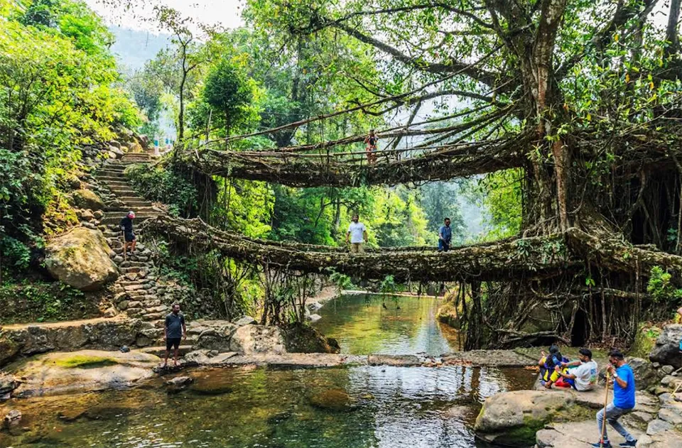 Living Root Bridges: Man-made natural bridges that last for centuries