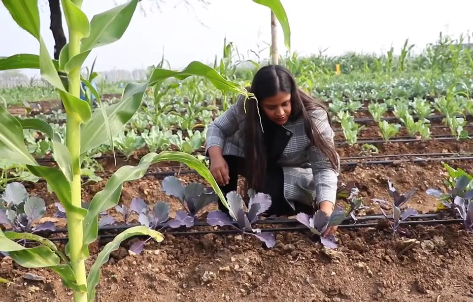 MBA farmer and MBA millet millionaire