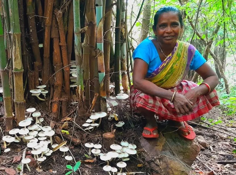 A tribal woman from Odisha with bamboo mushrooms. Pic: Isak Munda 