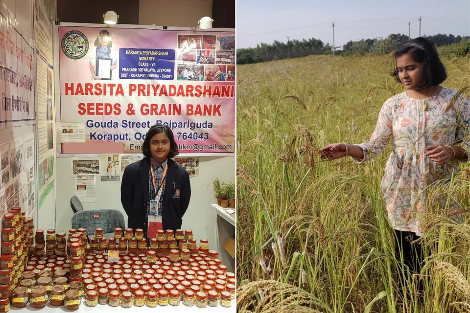 Harshita Priyadarshini Mohanty with some of her native seeds at an exhibition (left) and at a paddy farm (right)