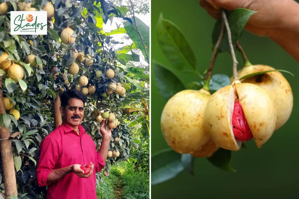 Shajan Varghese at his farm in Indukki, Kerala 