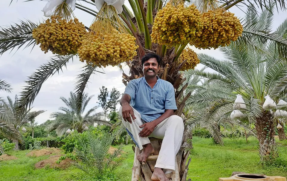 Diwakar Channappa reaping rich fruits of organic farming