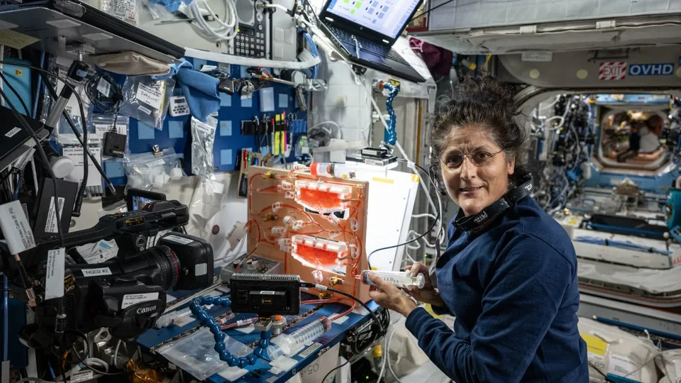 Sunita Williams 