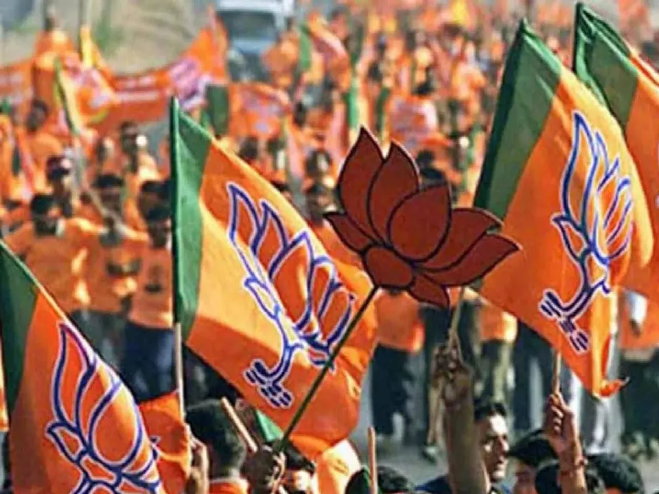 BJP Flag