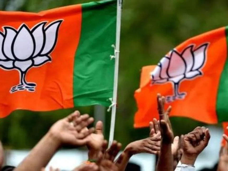 bjp flags .jpg