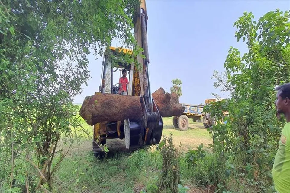 মেদিনীপুর সদরে অবৈধ ভাবে গাছ কাটায় গ্রেফতার এক, বাকিদের খোঁজে তল্লাশি