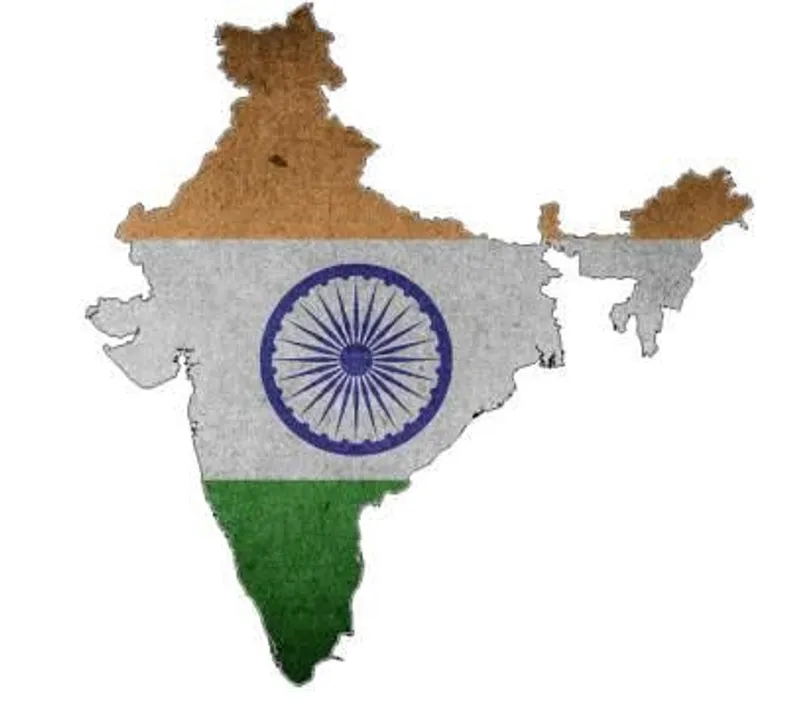 ভারতের স্বাধীনতার পর ভাষা ভিত্তিক রাজ্য পুনর্গঠন