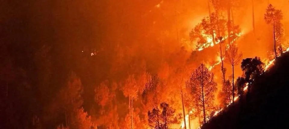  forest fire in Binsar, Uttrakhand