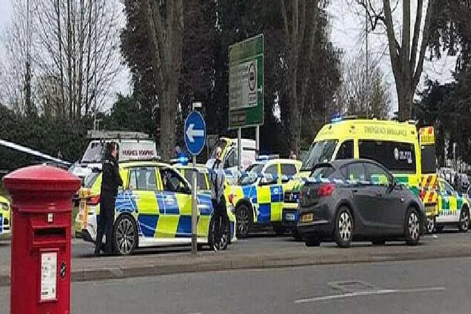 Terrible murder, 16-year-old boy died, 4 arrested