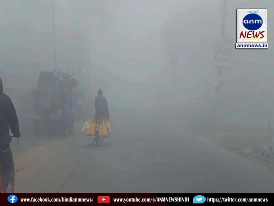 fog delhi