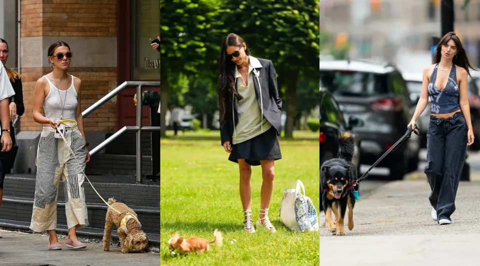 The Dog Park Is The Hottest Destination For Celebrity Style