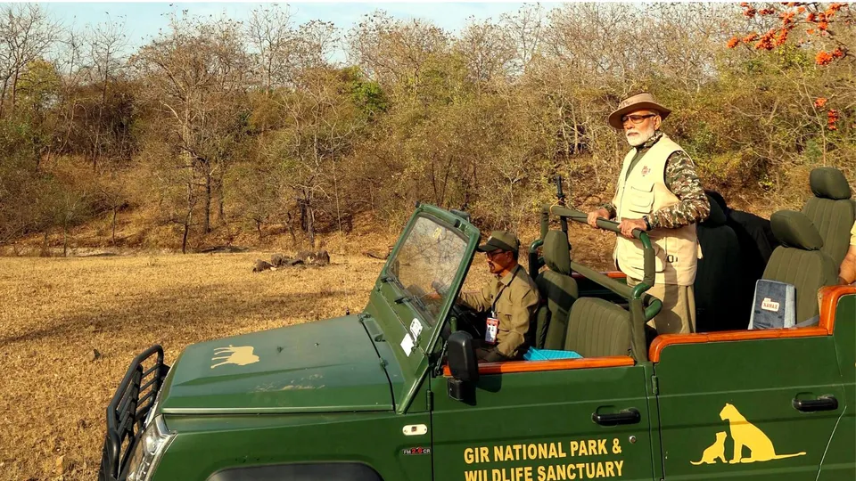 Narendra Modi in Gir National Park image