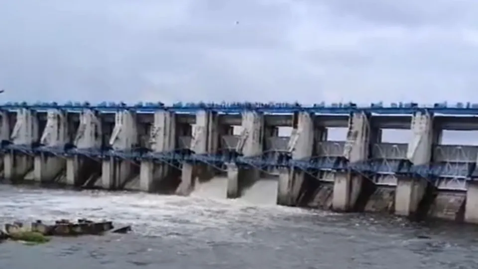 Two gates of the Bisalpur dam in neighbouring Tonk district opened on Friday