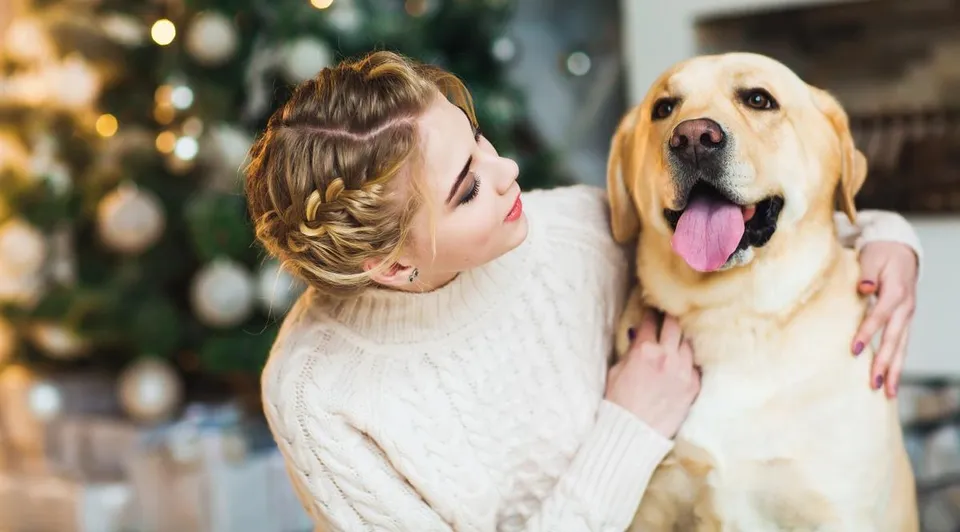 Pet dog with owner