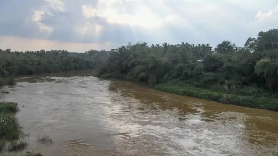 Shastri River Basin, Water, River, Nature, Environment, Water Pollution