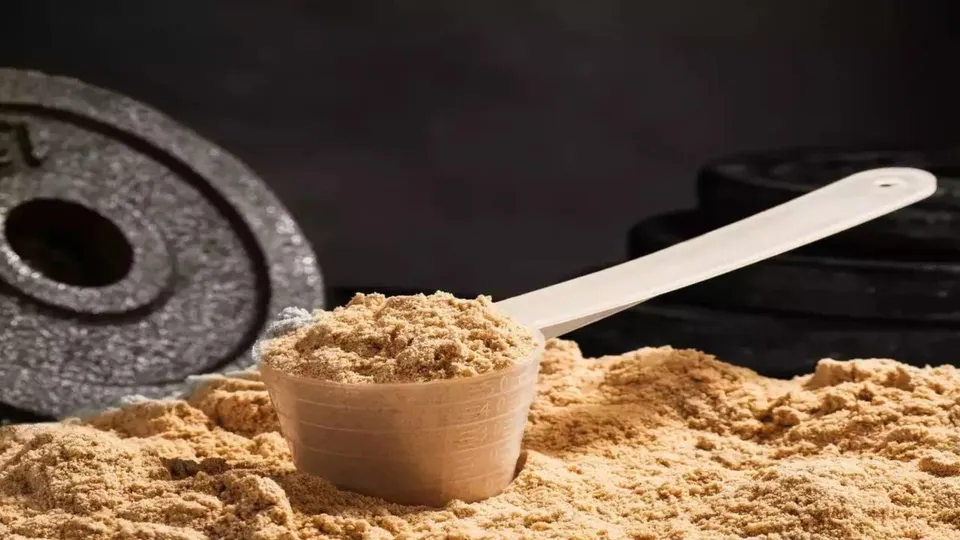 Whey protein supplements