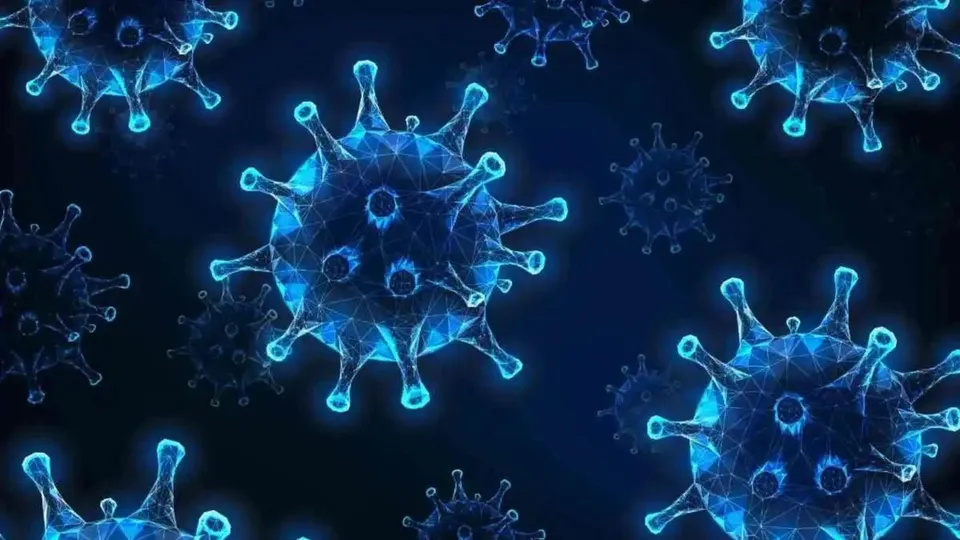 Chandipura Virus