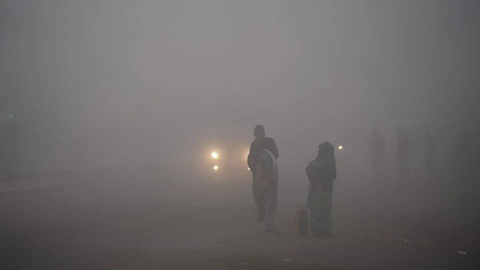 Dense fog in UP