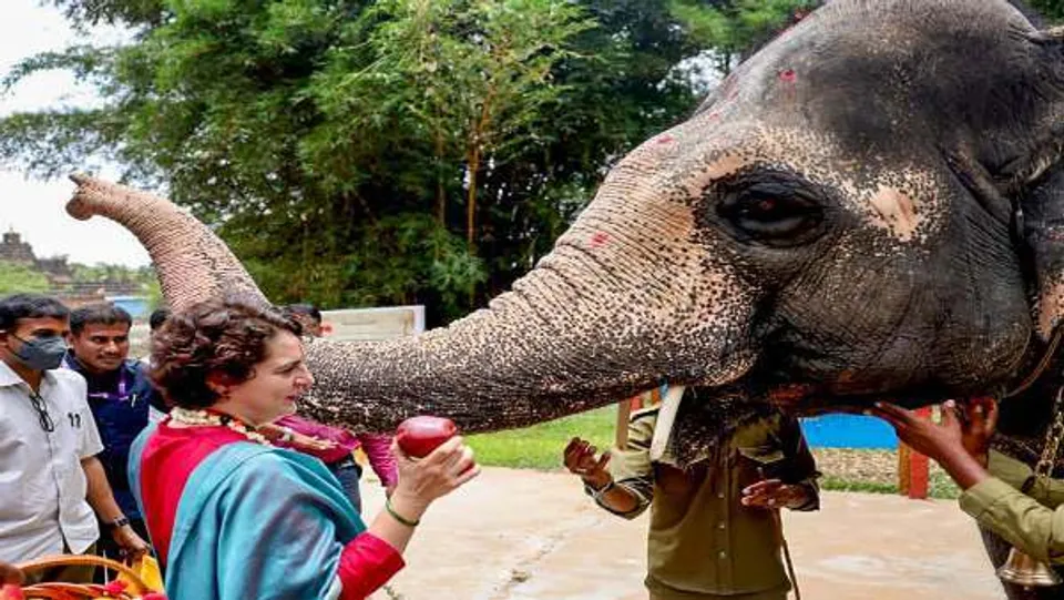 പുതിയ കൂട്ടുകാരെ പരിചയപ്പെടുത്തി പ്രിയങ്കാഗാന്ധി, ചിത്രം സോഷ്യൽ മീഡിയയിൽ സൂപ്പർ ഹിറ്റ്